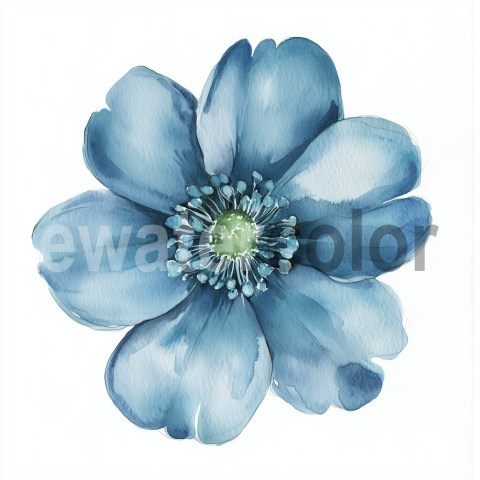 Watercolor dusty blue bloom illustration