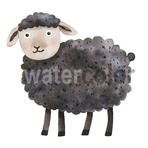 Watercolor black sheep on transparent background